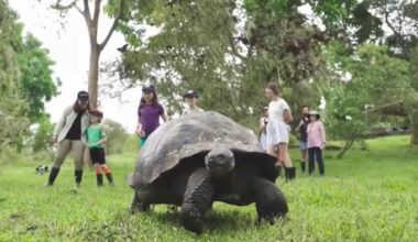 Multigenerational Getaways: Top Beach, Tour and Cruise Picks for Grandparents Day