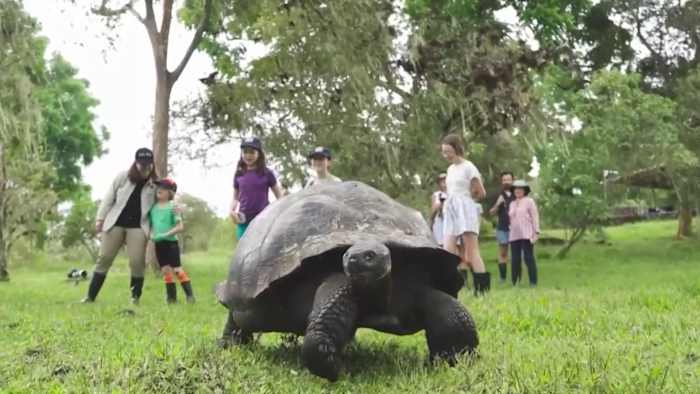Multigenerational Getaways: Top Beach, Tour and Cruise Picks for Grandparents Day