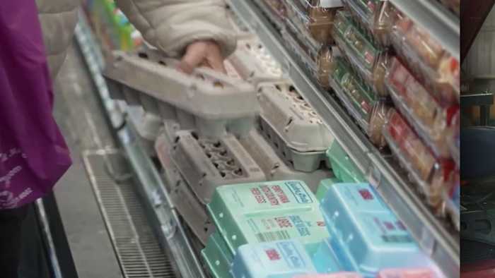 San Antonio families face food insecurity as local organizations work to fill the gap