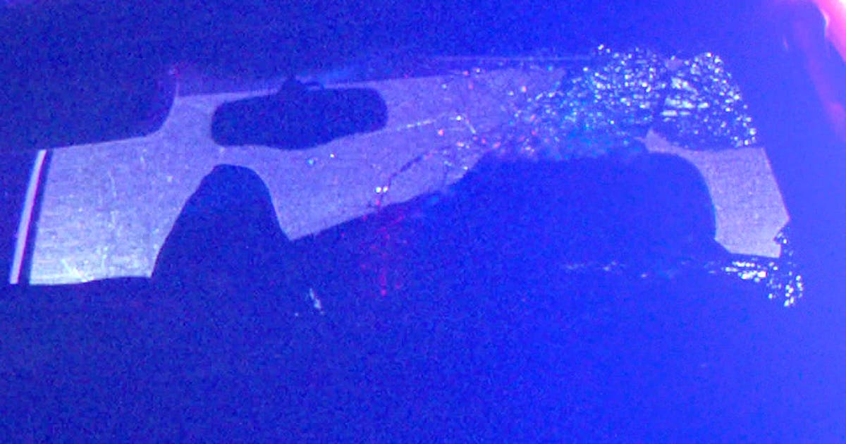 Pedestrian struck and killed by minivan on Interstate 20 in the Red Bird area of Dallas