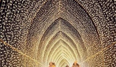 Christmas light Cathedral returns to Ft Worth Botanic Garden