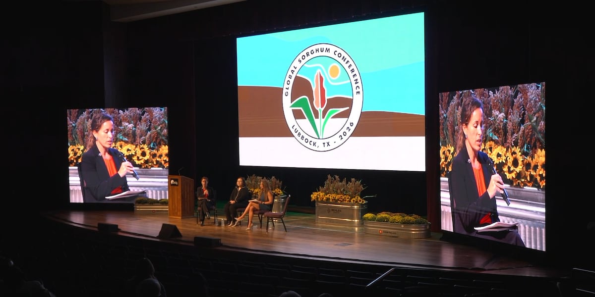 Global sorghum conference brings world experts to Lubbock