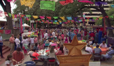 NIOSA attendees react to event being suspended for 2027