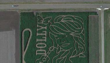 Dolly Parton inspires massive corn maize at a Texas farm