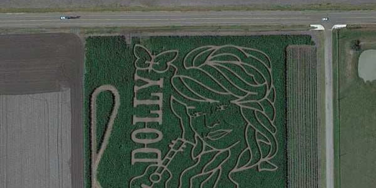 Dolly Parton inspires massive corn maize at a Texas farm