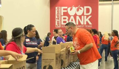 More than 300 San Antonio employees volunteer at Food Bank for Hunger Action Month