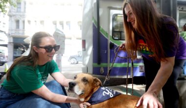 Sara Godfrey, with the SPCA, right, walks Anton, and talks to Amanda Little during the Downtown Dallas Day of Giving, a free community event celebrating North Texas Giving Day, at Pegasus Plaza in Dallas, Texas, Monday, September 14, 2026.