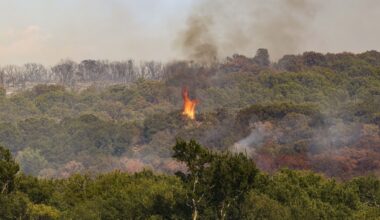 Dallas-Fort Worth is forecast to face a high or very high fire danger Saturday, according to the Texas Weather Connection and Texas A&amp;M Forest Service.