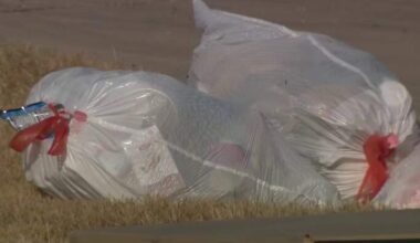 Far South Side homeowners say illegal dumping, gunfire is overlooked by the city