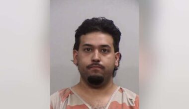 Affidavit reveals victim bit suspect on chest to escape attempted kidnapping at Irving park