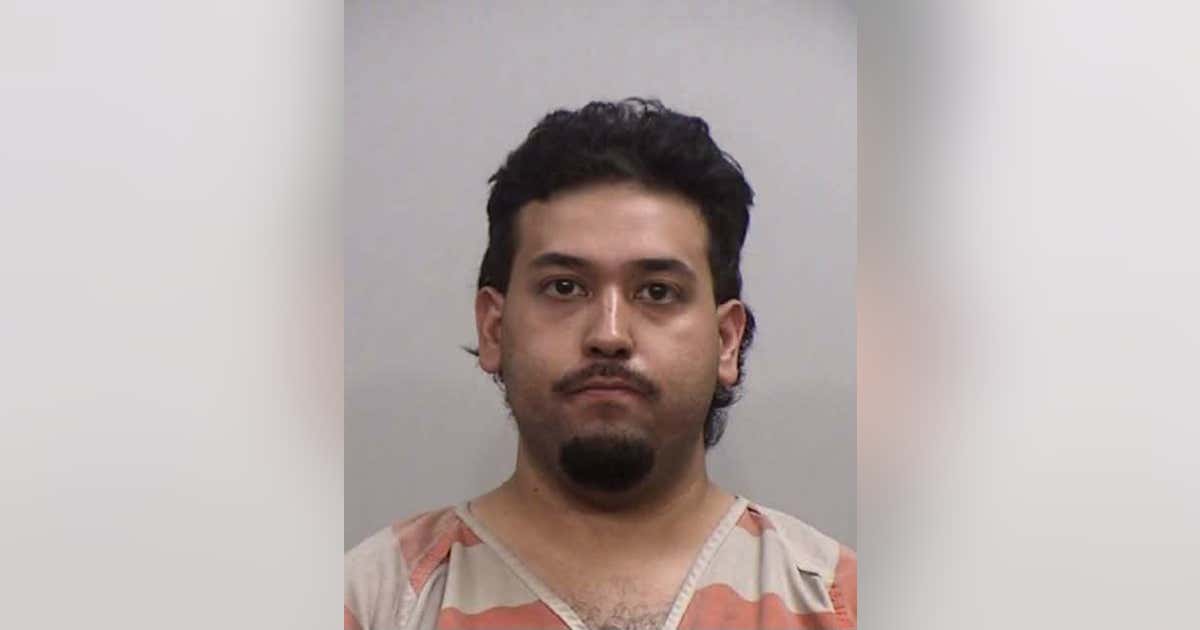 Affidavit reveals victim bit suspect on chest to escape attempted kidnapping at Irving park