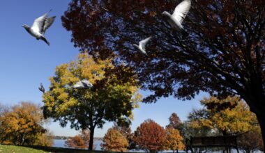 Tell us your favorite spots to take fall photos in Dallas-Fort Worth.