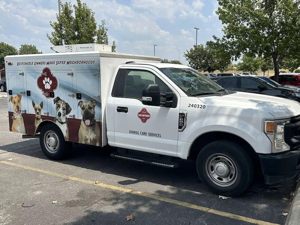 San Antonio ACS joins new coalition aimed at improving animal welfare in Texas