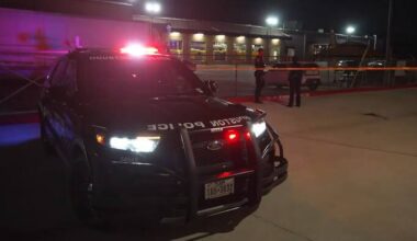 Man dies after stabbing at Houston apartment; woman taken into custody