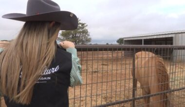 Lubbock woman’s ag organization catches attention from the White House