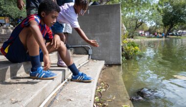 Trinity Ford and Amaan Aya feed a snapping turtle during the first day of the Texas State Fair at Fair Park in Dallas, Friday, Sept. 25, 2026.