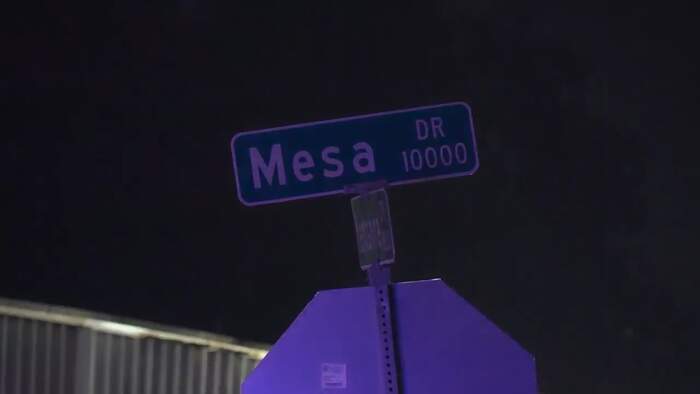 Person found fatally shot in back after car crashes into pole in northeast Houston