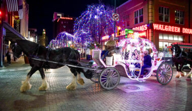 Horse-drawn carriage in San Antonio tips over amid city ban