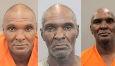 Wanted career thief suspected of stealing again hours after posting bond