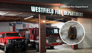 Bullet pierces Westfield fire station ceiling, narrowly missing firefighter
