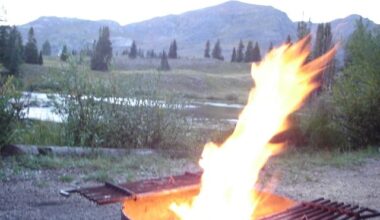 Many national forests have Stage 1 fire restrictions in place, meaning campfires are allowed only in established pits in developed campgrounds, like this one at Lake Irwin near Crested Butte. Photo by R. Scott Rappold, The Gazette