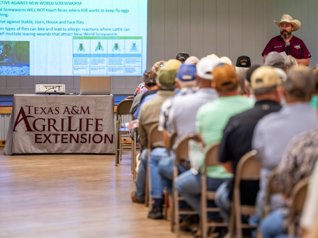 A public meeting of livestock producers learning about New World screwworm.