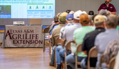 A public meeting of livestock producers learning about New World screwworm.