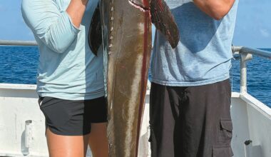Caught a cobia - Port Aransas South Jetty