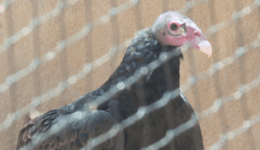 station icon