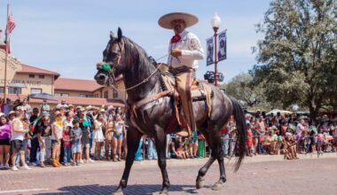 Celebrate Mexican Independence at the Fort Worth Stockyards – NBC 5 Dallas-Fort Worth