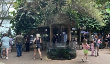 Dallas World Aquarium brings wild to Texas | Traveling Soldier