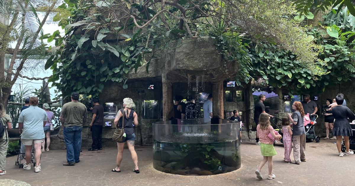 Dallas World Aquarium brings wild to Texas | Traveling Soldier