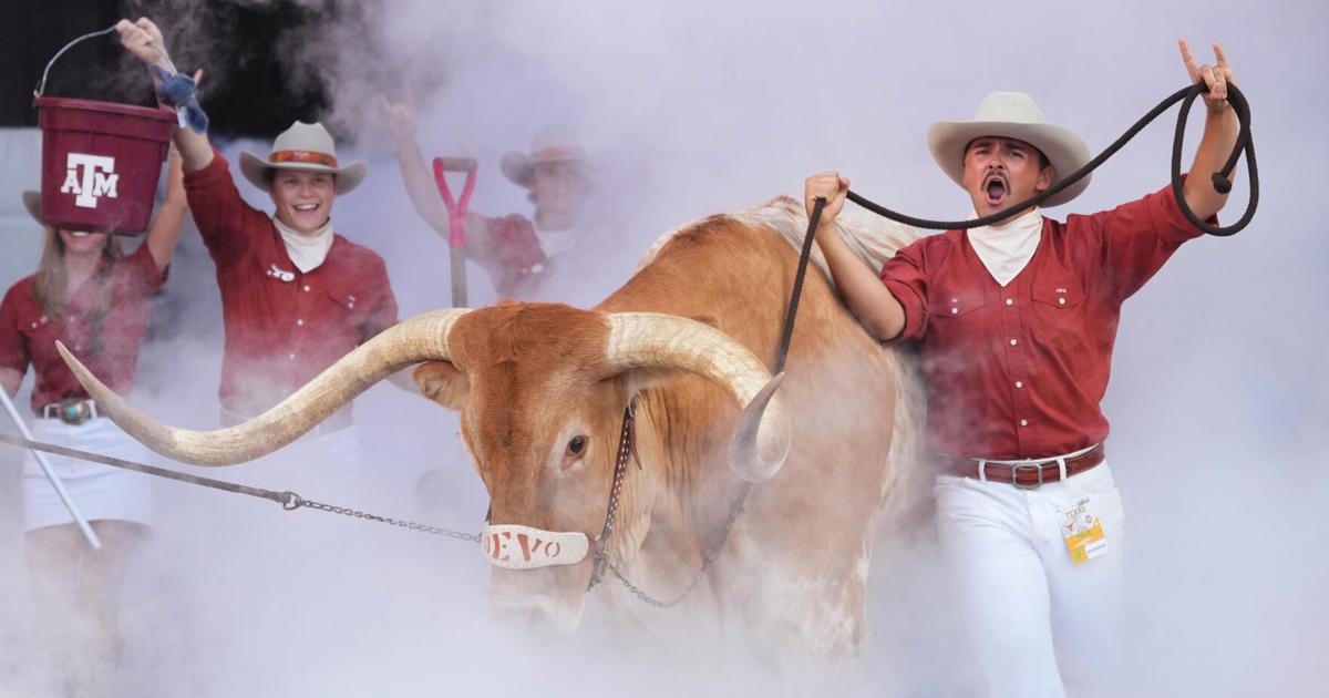 Top-ranked Texas likes the view from No. 1 but is focused on long season ahead | National Sports