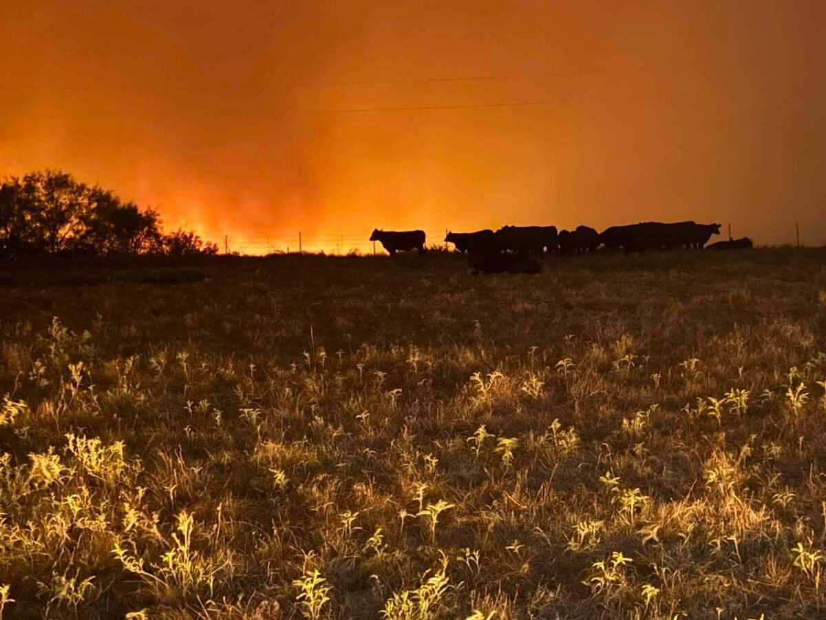 Firefighters continue to battle the Ross Fire in two North Texas counties. The blaze appears to be holding steady at 80,000 acres and 12% containment Thursday, Aug. 27, officials say. No injuries to civilians or those fighting the fire have been reported.