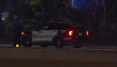 Man killed after exiting moving truck on Gulf Freeway