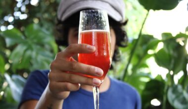 Mia’s Cocktail Tour of San Antonio