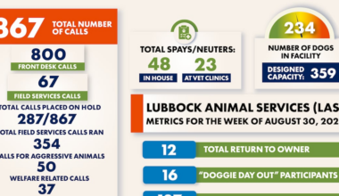Lubbock Animal Services releases weekly metrics