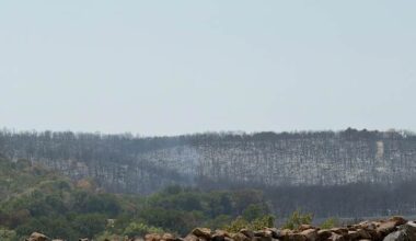Fire crews fully contains North Texas wildfire, which continues to burn three weeks later