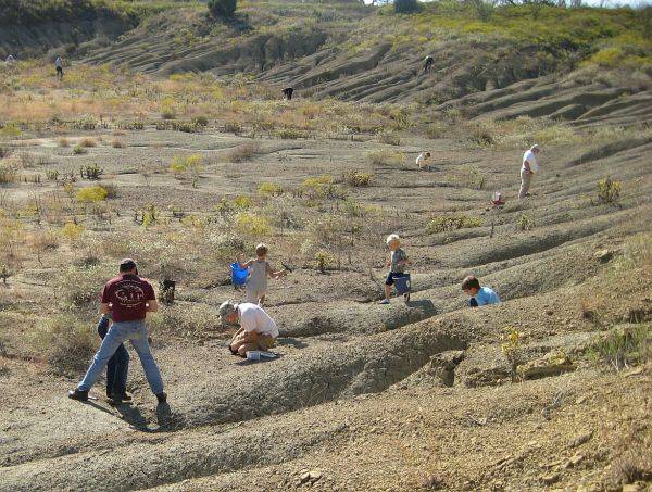Kids exploring terraced hillside with plants and soil in fall.