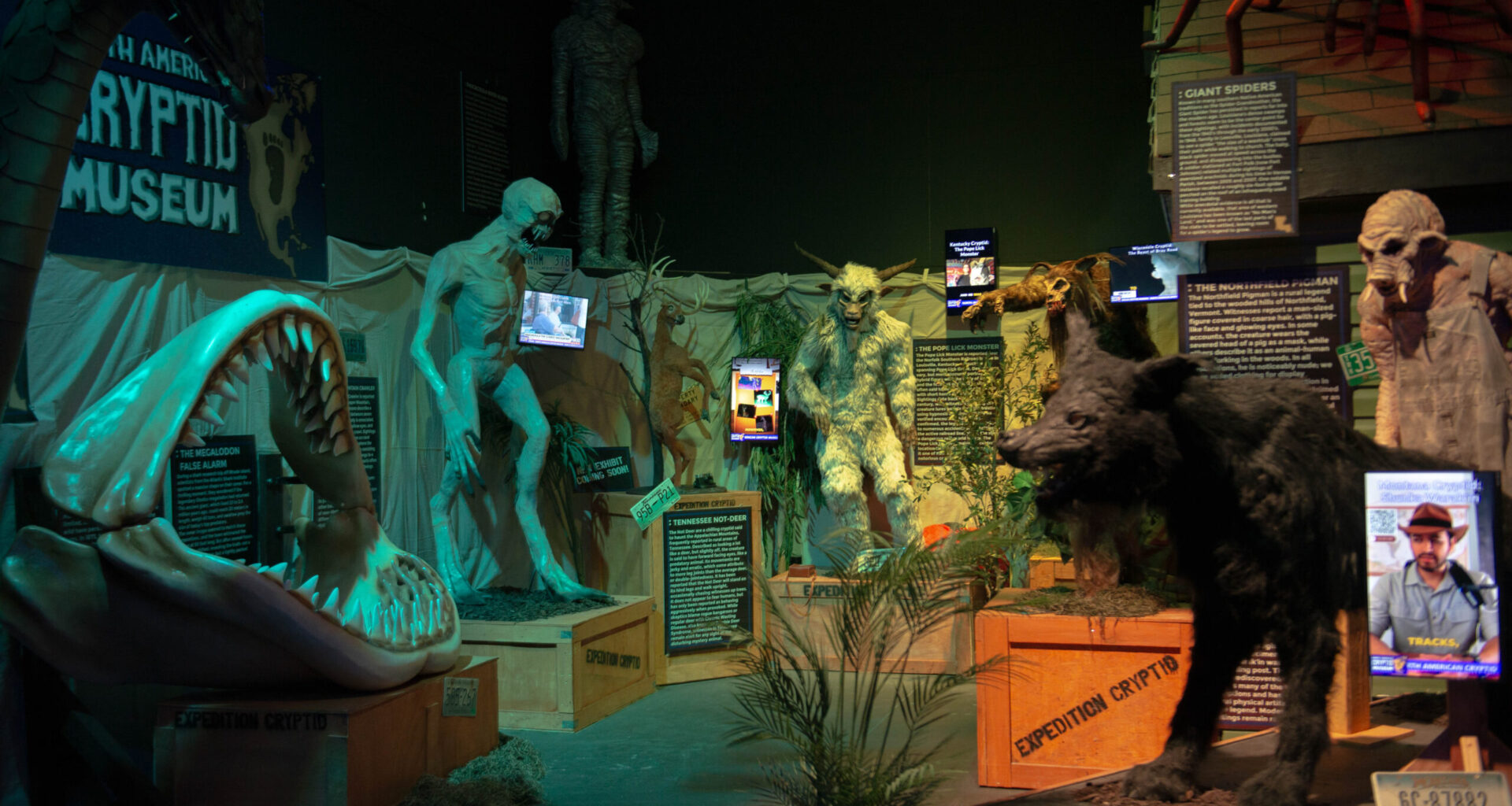 Behind the scenes of Dark Hour's North American Cryptid Museum