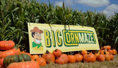 El Paso fall events: Pumpkin patches, festivals, scares