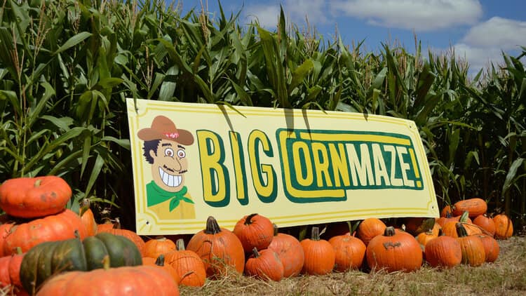 El Paso fall events: Pumpkin patches, festivals, scares