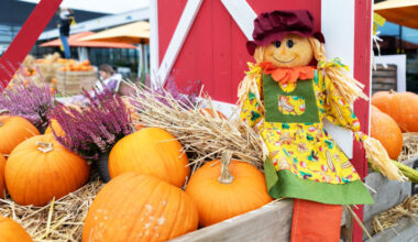 Fall brings festivals, family fun to Sachse area