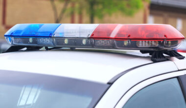 BCSO: Two arrested after 6 malnourished dogs found at West Side home