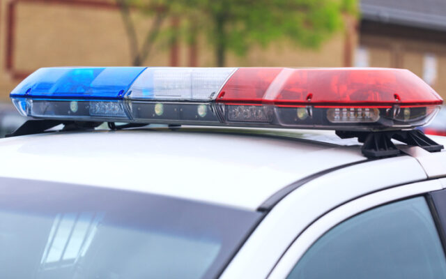 BCSO: Two arrested after 6 malnourished dogs found at West Side home