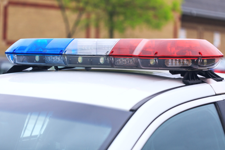 BCSO: Two arrested after 6 malnourished dogs found at West Side home