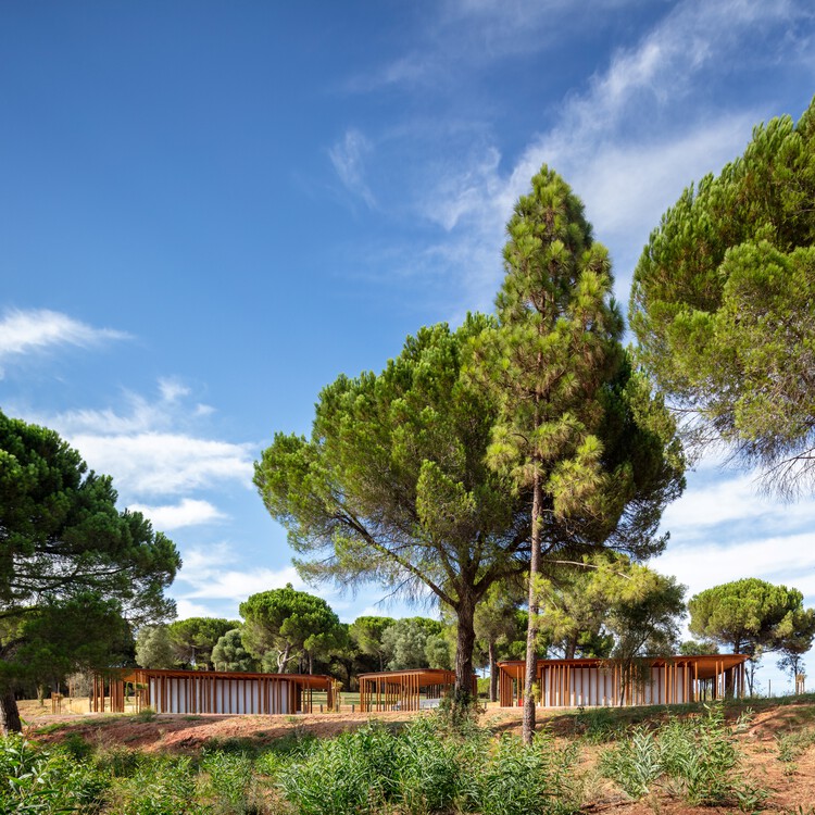 Mata do Paraíso Scout Park / Plano Humano Arquitectos - Image 7 of 27