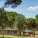© João Morgado Mata do Paraíso Scout Park / Plano Humano Arquitectos - Image 2 of 27