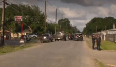Houston woman sentenced for threatening federal agent with machete