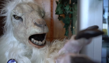 Lake Worth Monster exhibit brings the Goatman legend to City Hall – NBC 5 Dallas-Fort Worth